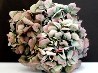 Szyba do drzwi loftowych brązoawa 