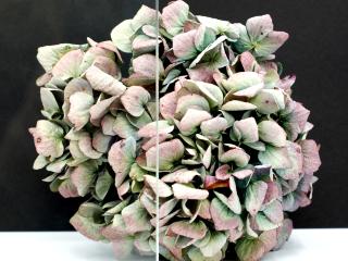 przezroczysta szyba do drzwi loftowych Portamet